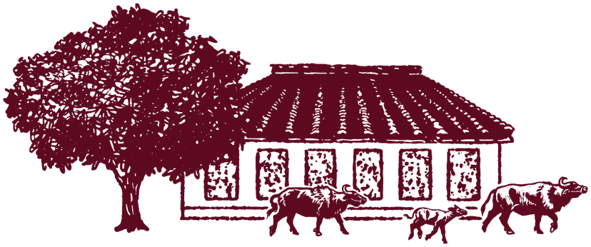 Fazenda